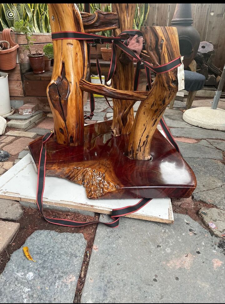Close view of the cat tree's polished live-edge base slab and the sculptural forked trunk rising from it